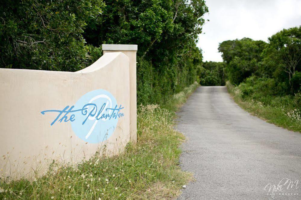 The Plantation Bed and Breakfast Port Elizabeth Buitenkant foto
