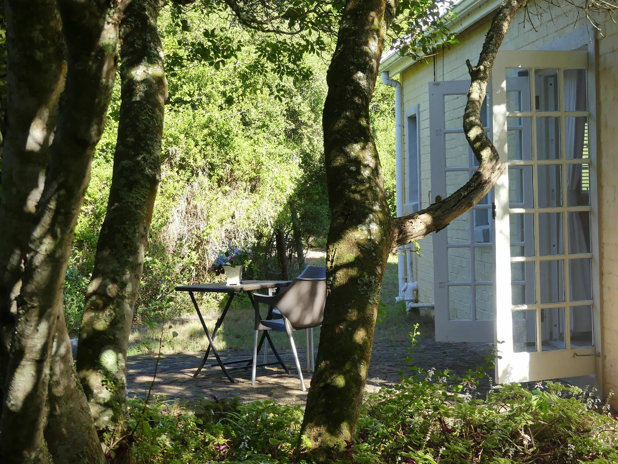 The Plantation Bed and Breakfast Port Elizabeth Buitenkant foto